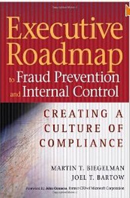 Book of the Month – June 2011: Executive roadmap