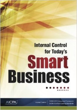 Book of the Month – May 2010: Internal Control for Today’s Smart Business
